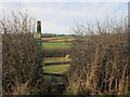 Walking west at Carr Farm