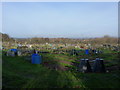 Allotments west of Bayston Hill