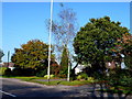 Houses on Magna Road