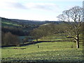 Old stone fence post off Tim Lane, Oakworth