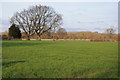 Farmland near Willersley