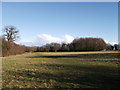 Abbey Field, Manor Park Country Park