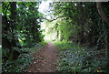 Footpath by the River Medway