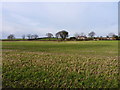 Stubble field north of Longden