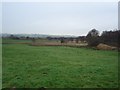 Castlecary, pasture and bog