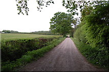 SU0810 : Burrows Lane Verwood Dorset by Clive Perrin