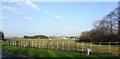 Horse Pasture near Ackers Farm