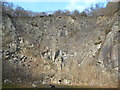 Quarry face on Moel y Golfa