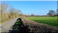 Low-lying land and lane at Letton