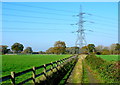 Powerline near Henbury farm