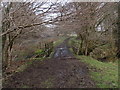 Rheilffordd Lofa Garn Goch Mineral Railway