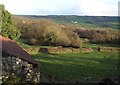 Fields at Cockhayes