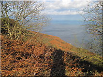 TA0099 : The  Undercliff  from  the  Cleveland  Way by Martin Dawes