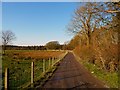 Balcraig Moor