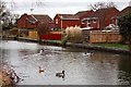 Houses by the Oxford Canal