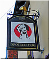 The Spotted Dog (3) - sign, Meriden Street, Digbeth, Birmingham