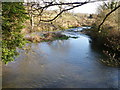 River Ebble, Homington