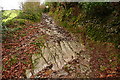 Bridleway to Lucott Farm