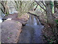 Slad Brook flows past a pond