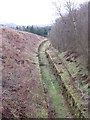 NS9998 : Trackbed, Devon Valley Railway by Richard Webb