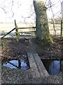 Footbridge And Stile