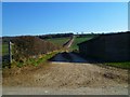 Track east from Brickkiln Farm