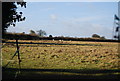 Farmland off Gallant Lane