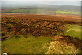 SS8941 : North-west from Dunkery Beacon by Graham Horn