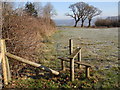 Llwybr troed Llanarthne footpath