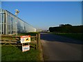 Road through Roundstone Nurseries near Runcton