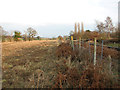 Fence along the railway line at Beversham Crossing, Blaxhall