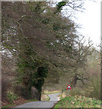TM3559 : Approach to Little Glemham on Tinker Brook by Evelyn Simak