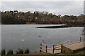 Frozen Buckshole reservoir, St Leonards