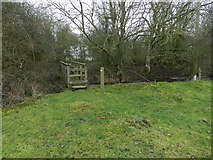SO9261 : Footbridge near Lilac Cottage by Peter Barr