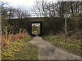 Footpath Under The Embankment