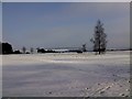 Marlborough Common in the snow