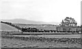 Down freight on Settle - Carlisle line approaching Langwathby