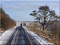 NY9078 : Country road near Middle Cowden by Oliver Dixon