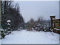 Southland Road, Plumstead in the snow