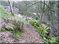 Lower Lumb Lane, Cragg Vale