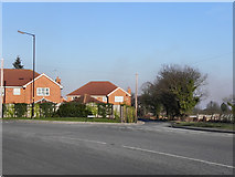 SJ7190 : Warburton Lane-Moss Lane Junction by David Dixon