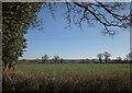 Field beside Horn Cross