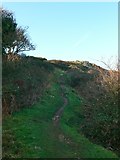 SH8182 : The North Wales Coast Path climbing to the top of Little Orme by Eirian Evans