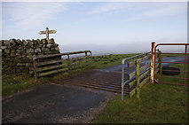 SD5461 : Cattle grid, Littledale Road by Ian Taylor