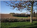 View from the village car park, Kentisbeare