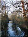 Beverley Brook by Palewell Common (4)