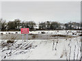 SD7808 : Frozen Pond by David Dixon