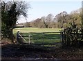 TQ6512 : Metal gate, Windmill Hill, East Sussex by nick macneill