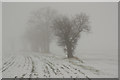 SK8871 : Freezing fog by Richard Croft