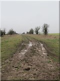 SU5382 : Another muddy track by Bill Nicholls